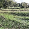 今年最後の草刈り　ーその４：丸山城跡二の丸ー