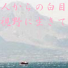 矛盾の信仰２