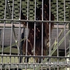 子供大喜び！！　ＧＷお勧め観光地　宮崎編　～フェニックス動物園～