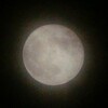 お月様の写真・スーパームーン2016