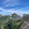 白馬エリアの高山植物③