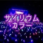 乃木坂46のコールまとめ 乃木坂46のコールまとめ