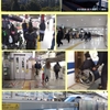 車椅子で東京ディズニーランドヘ(後半)JR舞浜駅からJR東京駅・京葉ホーム⇨新幹線への乗り換えルートをご紹介　2024年