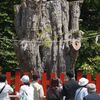 八幡宮の大銀杏が我々に教えてくれている