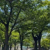 これはちょっと面白過ぎた！！の話。