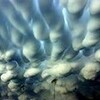 乳房雲にはパジャマがふさわしい仮名になるのMammatus