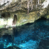 トゥルムにある聖なる泉　グラン・セノーテ Gran Cenote