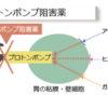 H2RAとPPIの違いと使い分け