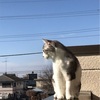 ちぃちゃんとの大切な日🏠
