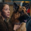 ハドソン＆レックス～セントジョンズ警察シェパード犬刑事〜Hudson & REX ☆S5-2