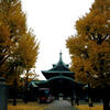 東京紅葉便り━横網町公園━