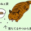 落ちた食べかすも残さず食べる元野良猫