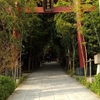 寺社めぐり　来宮神社