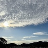 あの曲が思い出せない