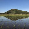 No.338　「湖畔の小さな教会」　のステンドグラス～その２「牧師のひと言」