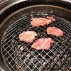 食べまくり