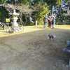 神社に囲まれた東広島の小規模店　