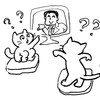 テレビを見る猫さん