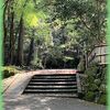 京の新緑の散歩 法然院の朝