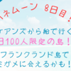 ハネムーン8日目！ケアンズから船で行く１日100人限定の島！！フランクランド島でウミガメに会えるかも！？〜元バックパッカーのハネムーン