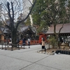 愛宕神社境内整備と日本最古の三角点の状況（２０２４年２月３、６日）