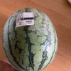 やっぱり夏は西瓜だよね