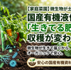 【家庭菜園】微生物が土を元気にする！国産有機液体肥料「生きてる肥料」で収穫が変わる