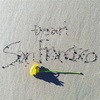 「Dear. San Francisco」