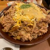 【新シリーズ】すき家 ボーノ相模大野店〜とろ〜り３種のチーズ牛丼／キング／デカ盛り／大食い〜【スタート】