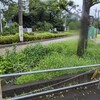 8/16(金)　台風７号到来！緑が生き生きと輝いている！私は気圧の低下に、からだが重い！