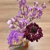 新しくお迎えしたお花たち