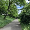 【朝の散歩道で森林浴～♫】
