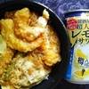 直球・海鮮天とじ丼