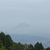 生物にあふれた登山道_満観峰経由高草山(2025/05/14)