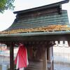 榊の花が積もった御大神宮さんの屋根