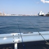 第２ラウンド☆彡根岸湾