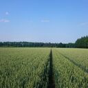 Farming is Fun !!〜ある農家のひとりごと〜