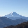 氷点下の森