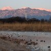 常念岳をバックに飛ぶ