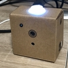 Google AIY Vision Kitを普通のデジカメにするソフト「simple_cam.py」を作りました