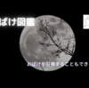 【 おばけ図鑑 】 リアイムで動き回る彼らの正体とは…