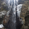 金剛山　もみじ谷の氷瀑は終了か？（奈良県・大阪府）（2/10）