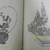 Flower arrangement(Kado) textbook　Ikebana 1843