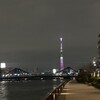 隅田川テラス10キロ：リハビリランは続く・・・焦らずじっくり走り歩き