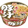 あつあつ豚汁うどんからの卒業