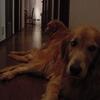 動物とヒトがつながる瞬間