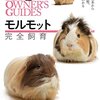 モルモット完全飼育　飼い方の基本から接し方、生態、医学までわかる　　PERFECT PET OWNER'S GUIDES