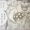 週刊少年ジャンプ24号（2017年）【ONE PIECE】感想