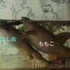 ドジョウに好かれる