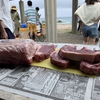 2019.8.9 深浦の海に遊びに行きました